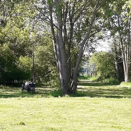 度假居 A Pour Famille Harcourt